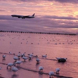 Meet your Posher, Gurjit